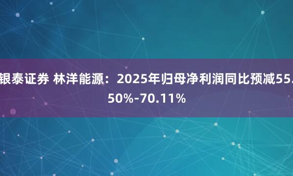 銀泰證券 林洋能源：2025年歸母凈利潤同比預減55.50%-70.11%
